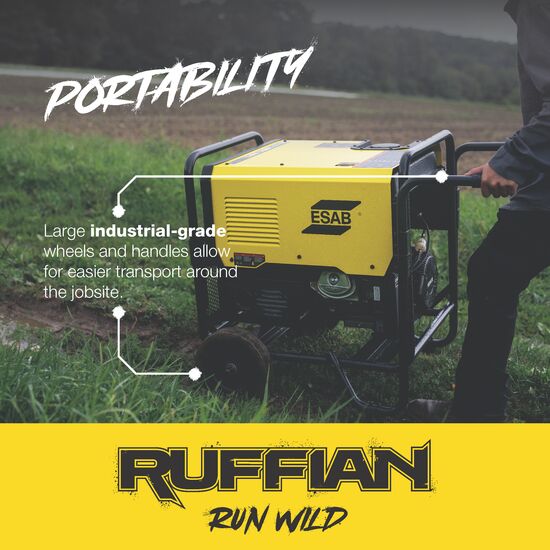 Ruffian_Infographics_Image 01.png