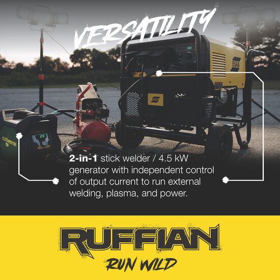Ruffian_Infographics_Image 04.png