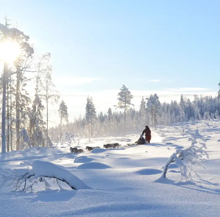 Best Places to Go on Holiday at Christmas