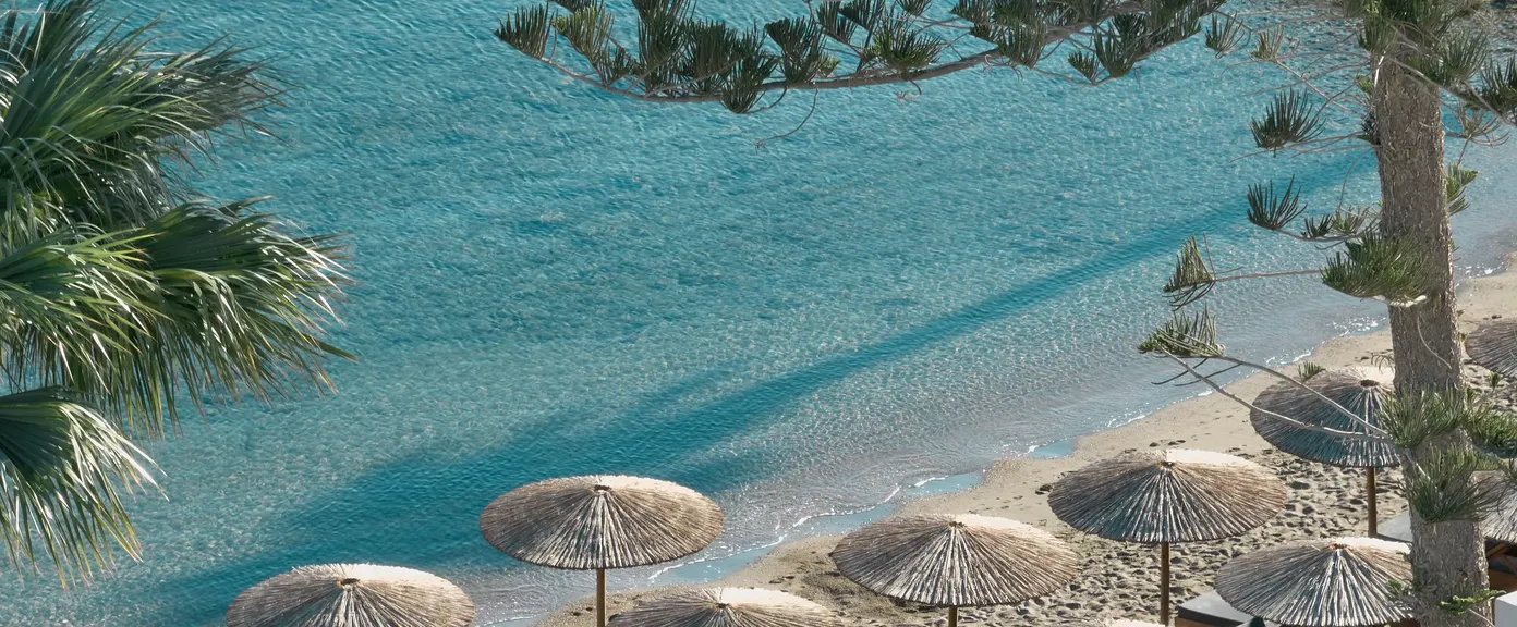 Why Elissa Lifestyle Resort?