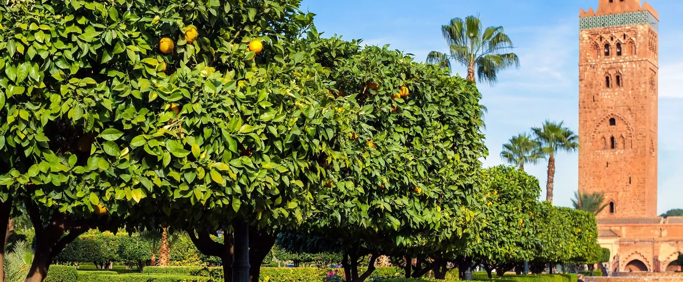 Marrakech