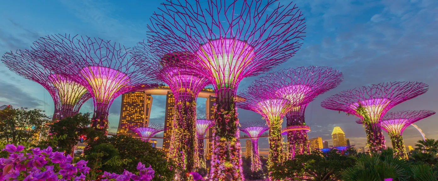 Why Singapore?