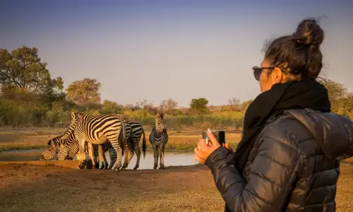 December Safari Holidays