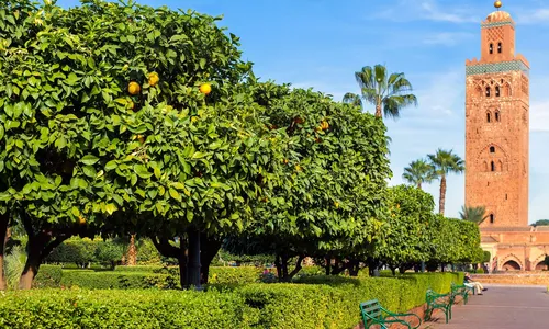 Marrakech