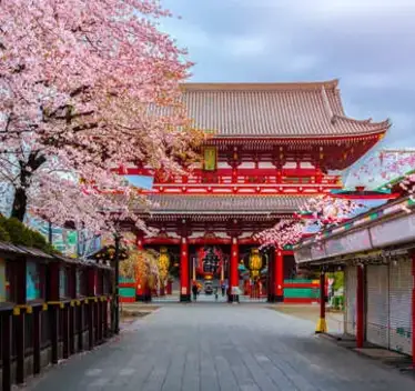 Off the Beaten Path Japan
