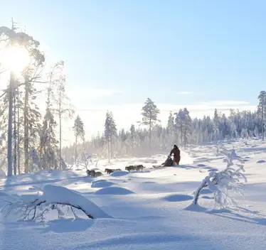 Best Places to Go on Holiday at Christmas