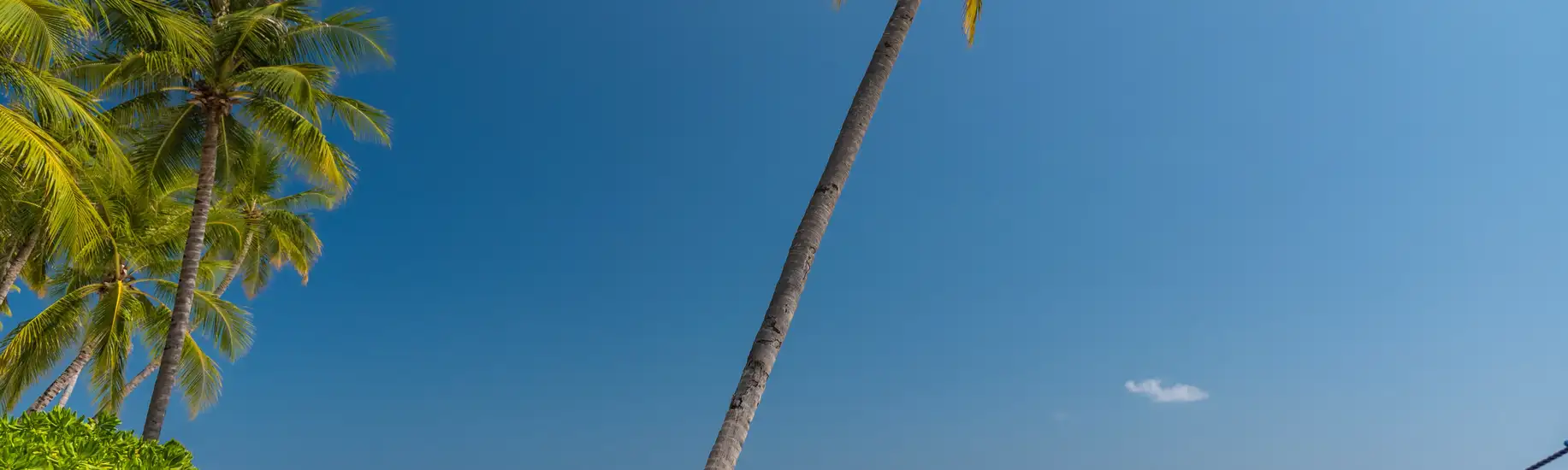 Luxury Holiday Offers
