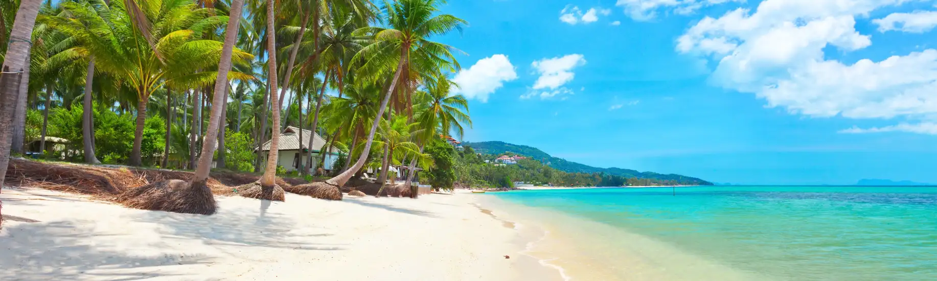 Luxury Holiday Offers