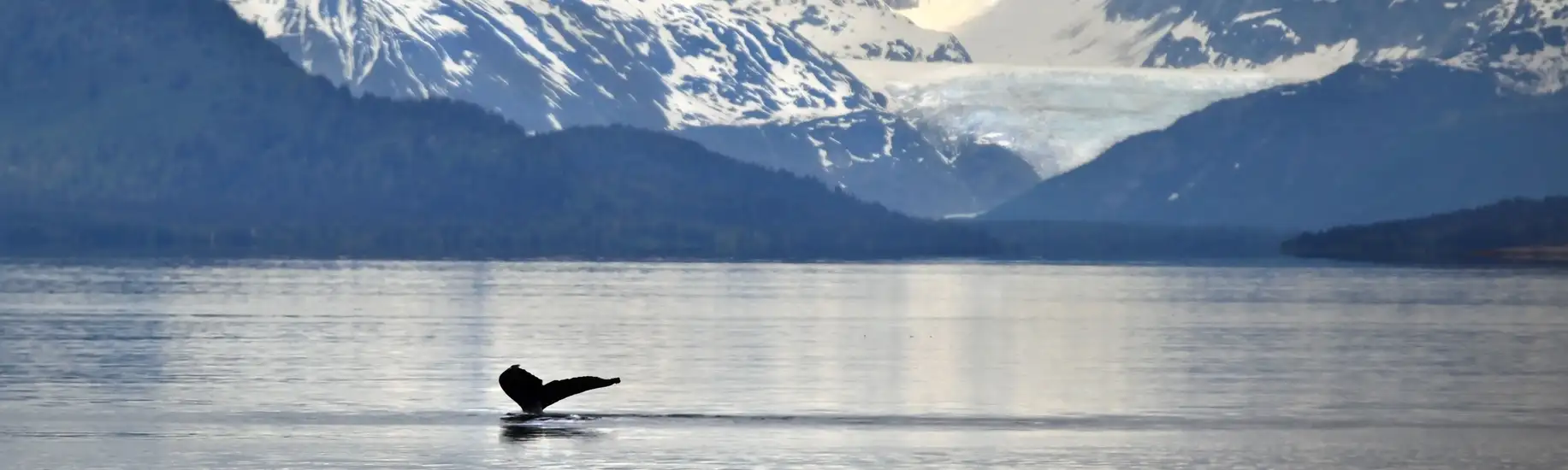 Alaska to the Canadian Rockies by Sea, Rail and Road