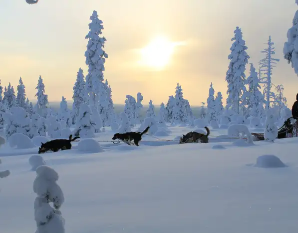 Christmas Adventure Holidays
