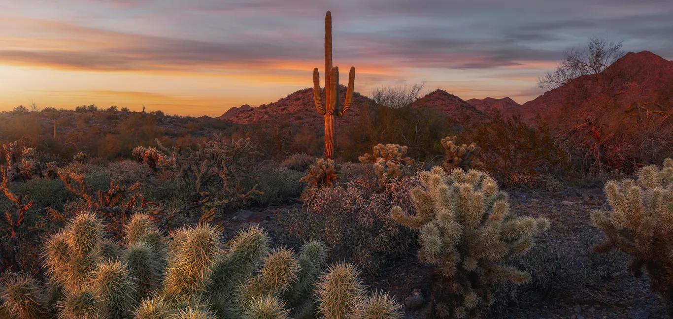 Choose Scottsdale Through Every Season