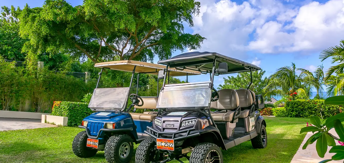 Nevaeh Villa : Golf Buggies 