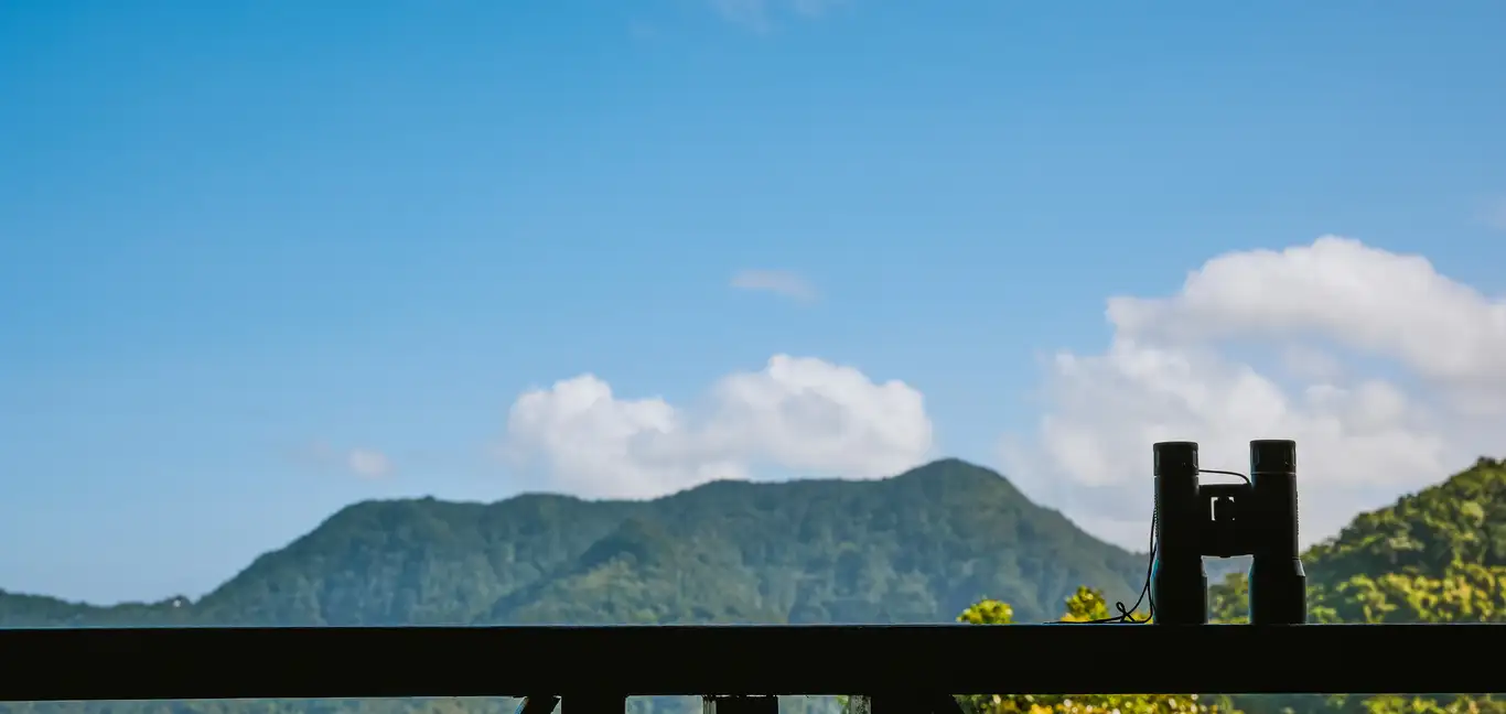 Ladera Resort : View