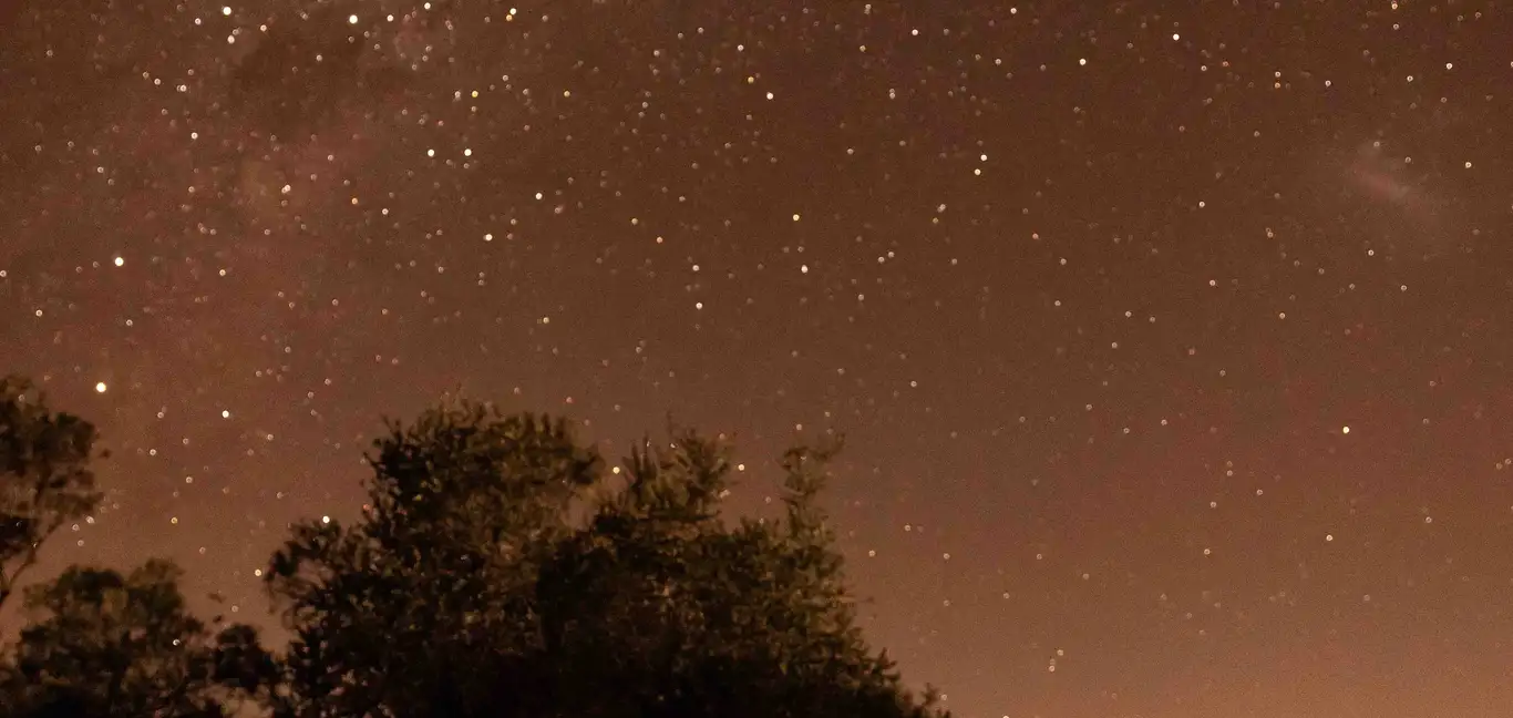 Ulusaba Private Game Reserve : Stargazing