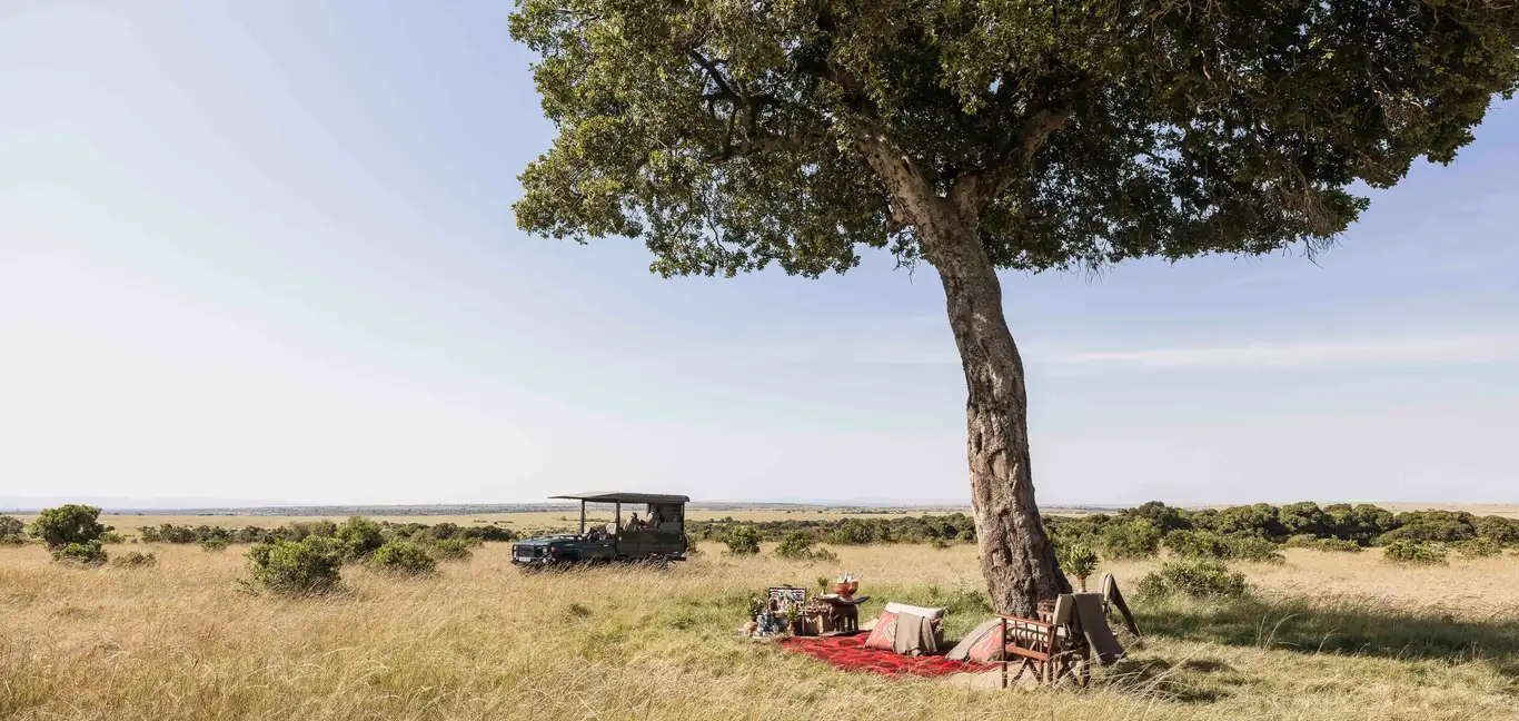 Little Elephant Pepper Camp : Safari