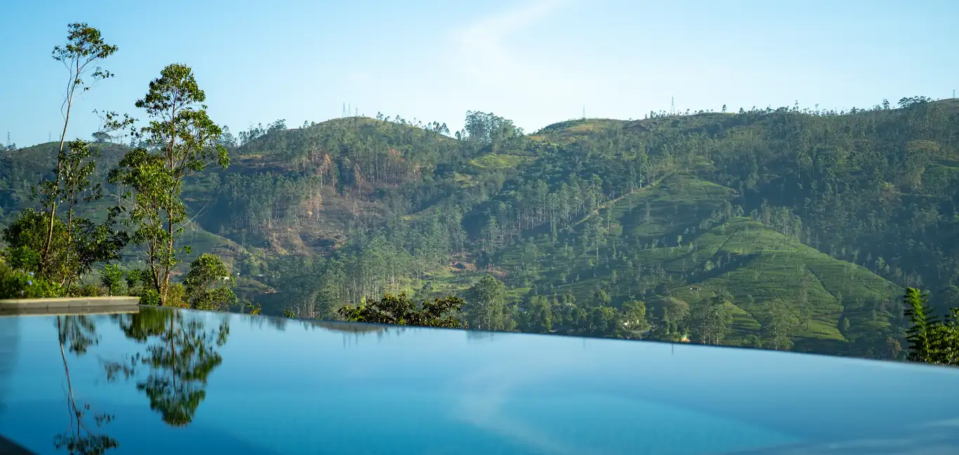 Camellia Hills : Swimming Pool 
