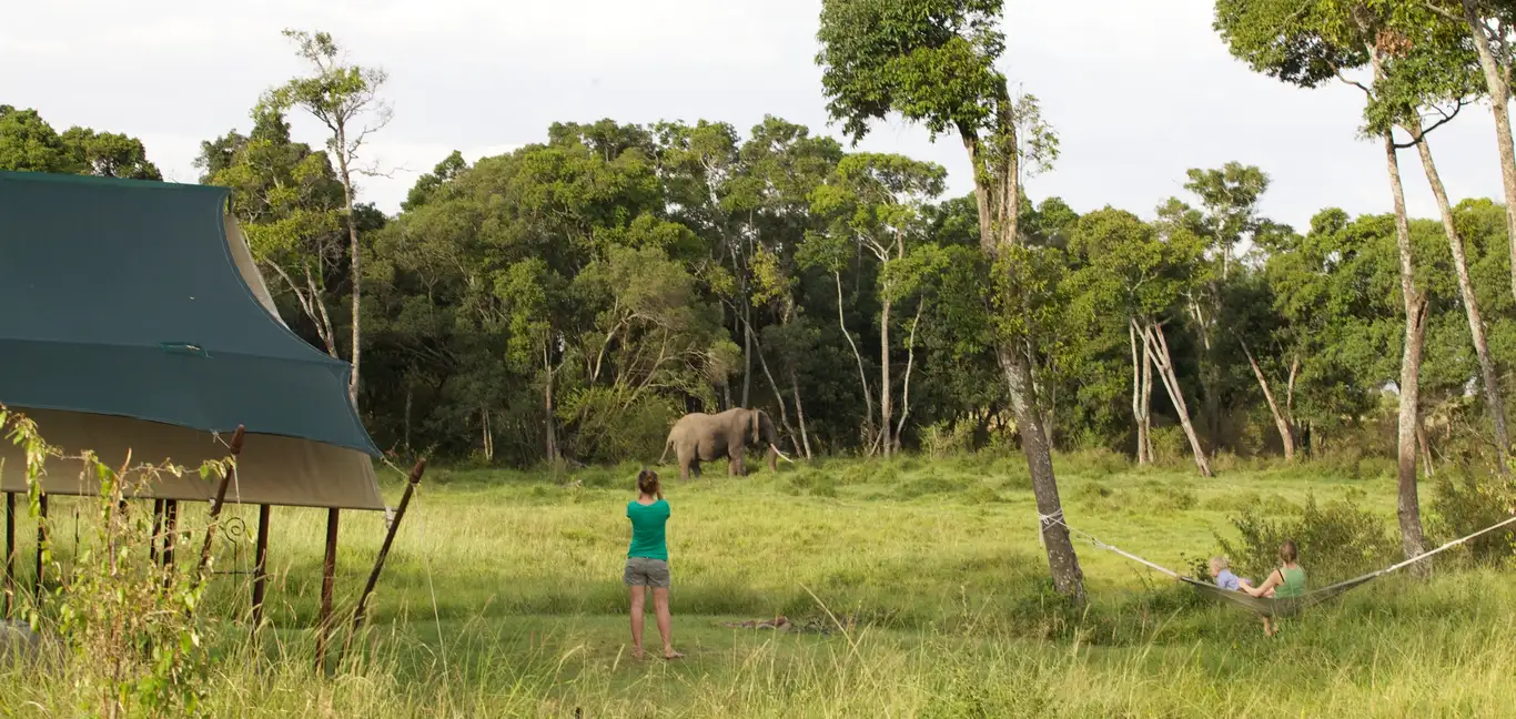 Elewana Elephant Pepper Camp : Wildlife by the Suites