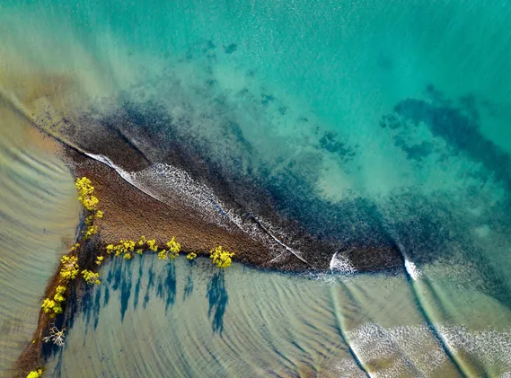 Queensland Wonders: Heritage, Reef and Rainforests