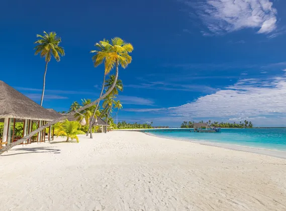 Maldives Beach with Pool