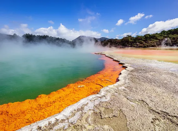New Zealand 16 Day Signature Highlights