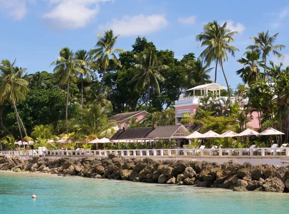 Spring in Barbados