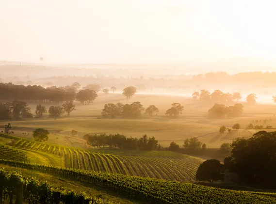 A Taste of Australia