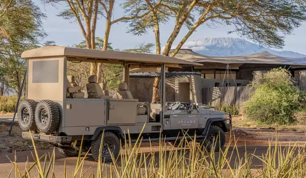Wildlife Encounters at Angama Amboseli