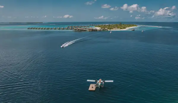 Wildlife Encounters at Six Senses Laamu