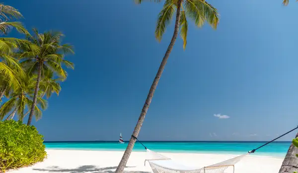Luxury Beach at Velaa Private Island