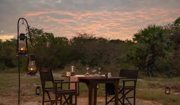 Hotel Experiences at Leopard Trails Wilpattu