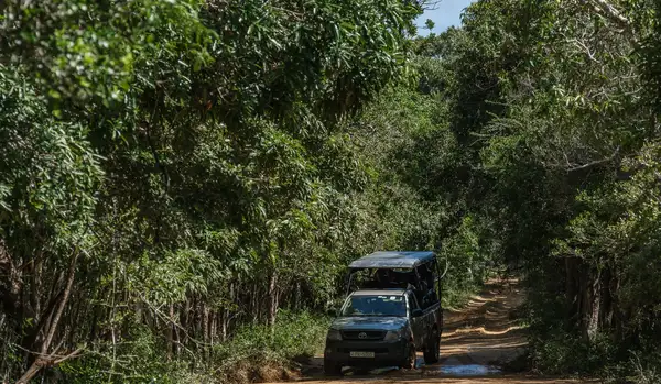 Safari at Leopard Trails Wilpattu
