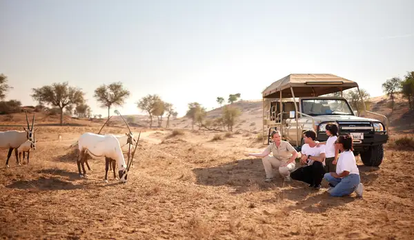 Wildlife Encounters at The Ritz-Carlton Ras Al Khaimah, Al Wadi Desert