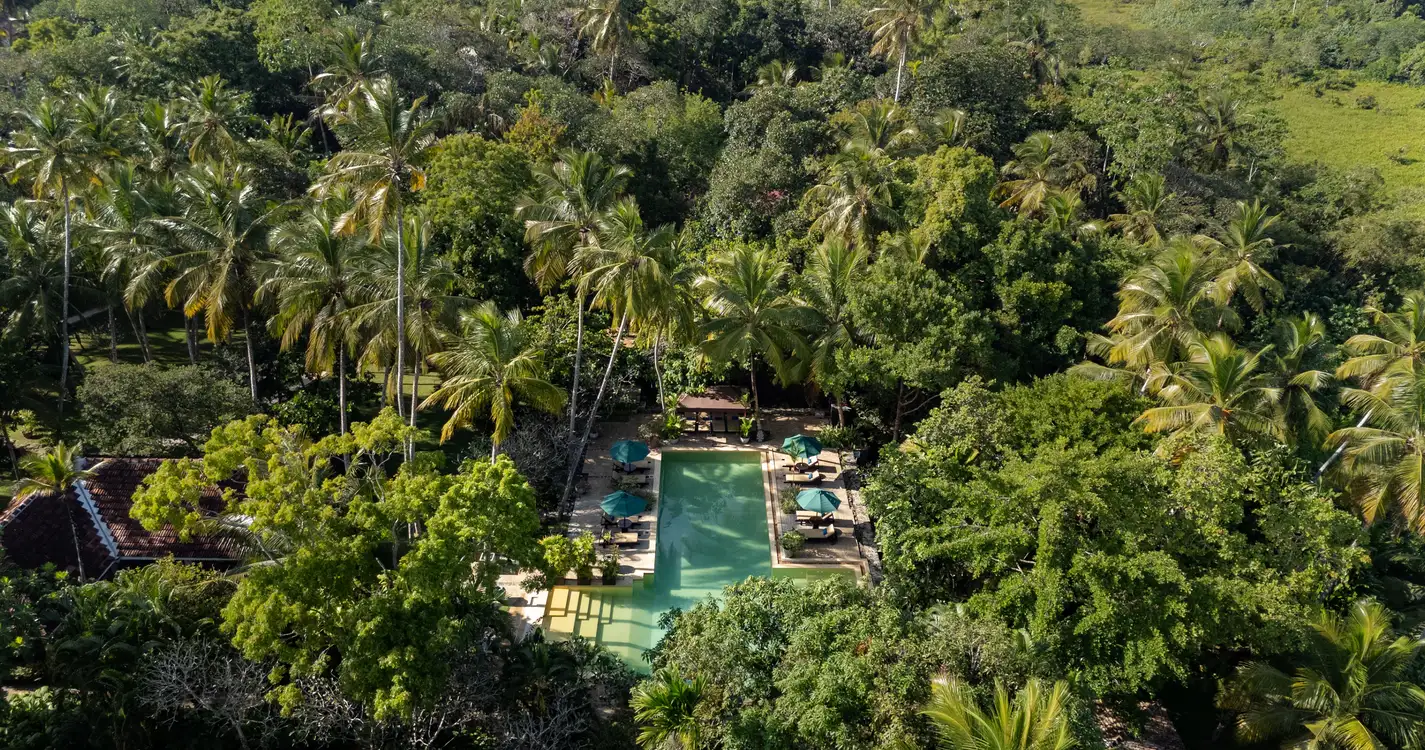 Why House : Aerial View 