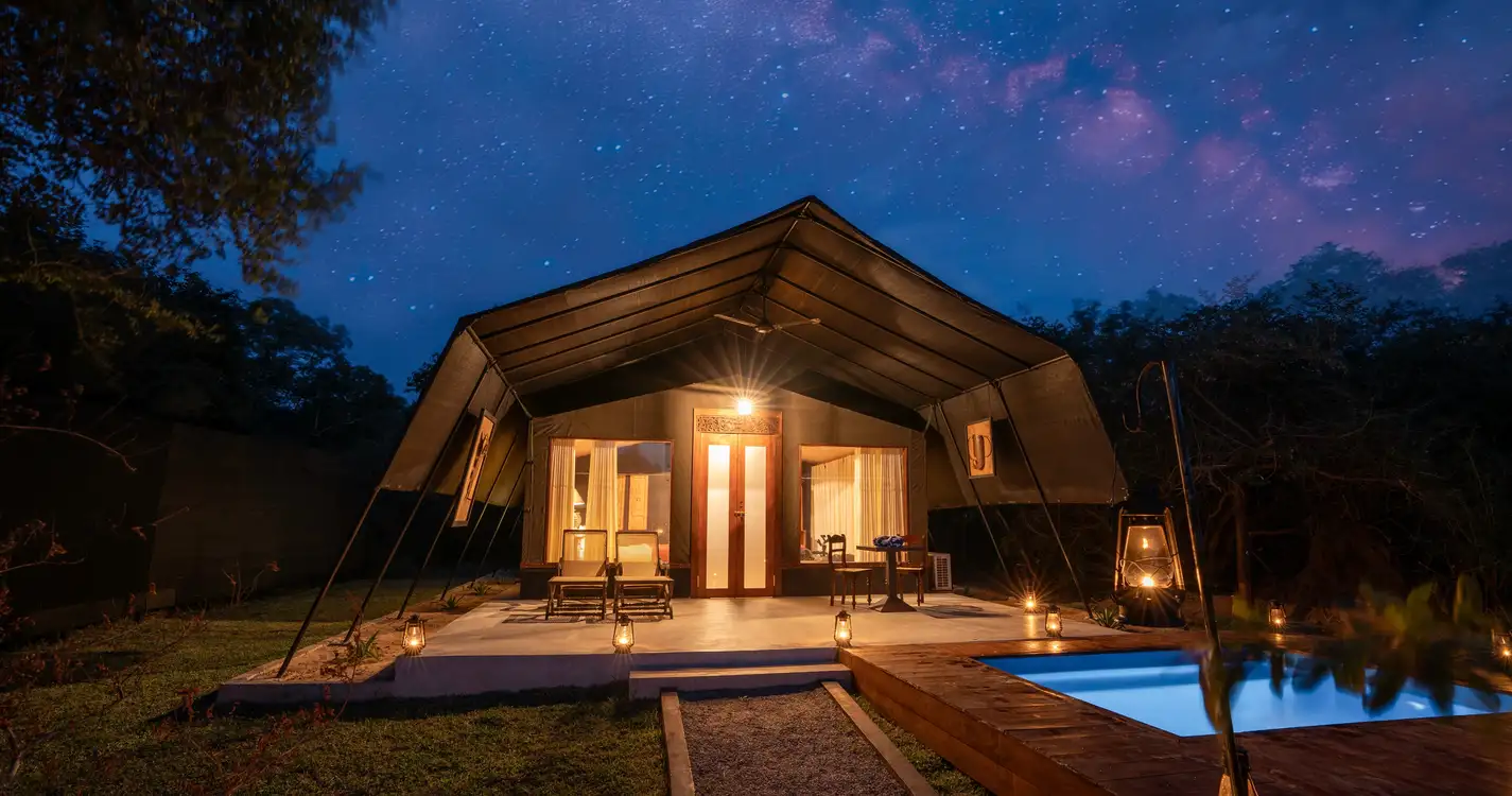 Leopard Trails Wilpattu : Pool Suite at Night 