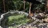 Hacienda AltaGracia, Auberge Collection : Casa De Agua