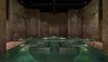 The Ritz-Carlton Ras Al Khaimah, Al Wadi Desert : The Rainforest Vitality Pool