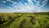 Elewana Elephant Pepper Camp : Aerial
