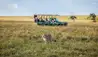 Elewana Elephant Pepper Camp : Cheetah