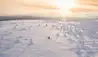 Wilderness Hotel Saariselka : Snowmobiling 
