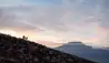 Elewana Tortilis Camp Amboseli : Sunrise Walking Safari 