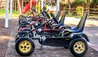 Barcelo Palmeraie Oasis Resort : Buggies