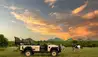 Ulusaba Private Game Reserve : Safari
