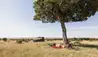 Little Elephant Pepper Camp : Safari
