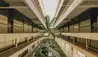 Mauna Kea Beach Hotel, Autograph Collection : Hotel View