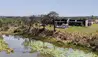 Sandringham House : View of House 