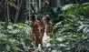 Four Seasons Hotel Mexico City : Hotel Grounds 