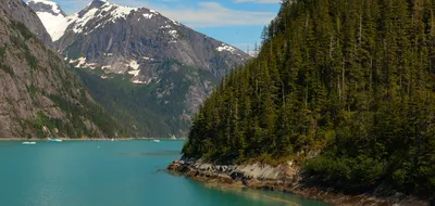 From Glaciers to Grizzlies: An Alaska Cruise and Vancouver Island Self-Drive Adventure