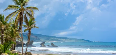 The Platinum Coast