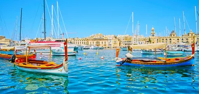Coastal Mediterranean Gems