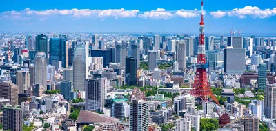 The Hanami Experience from Tokyo to Tokyo